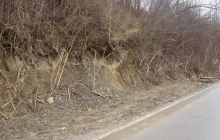 DSC00715