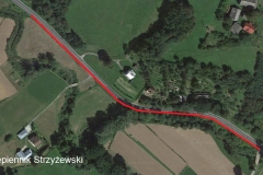 Rzep. Strzyżewski