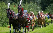 strona32