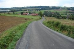 Droga Olszyny w kier. p. Ręklewskiego po