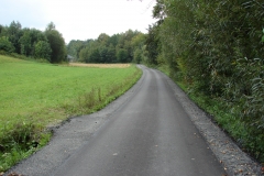 Droga Rzepiennik Suchy koło pomnika po