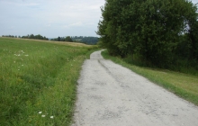 DSC01303
