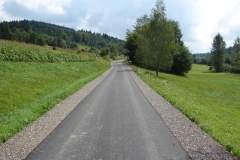Droga Turza Góry (koło krzywej drogi) po