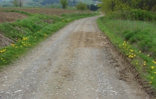 DSC01979