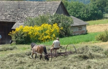 krajobrazy gminy 2007 021