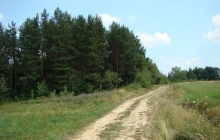 krajobrazy gminy 2007 082