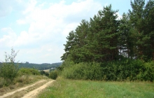 krajobrazy gminy 2007 085