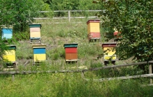 krajobrazy gminy 2007 086