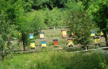 krajobrazy gminy 2007 088