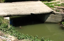 Obraz 050