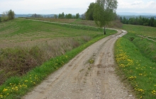 DSC01985