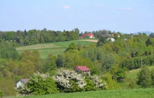 Olszyny z dużej pętli