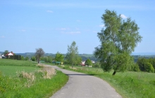 kołkówka ze szlaku (2)