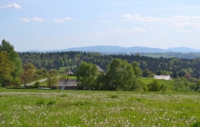 kołkówka ze szlaku (3)