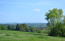 kołkówka ze szlaku (5)