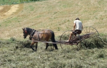 krajobrazy gminy 2007 017