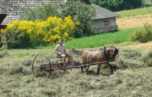 krajobrazy gminy 2007 023