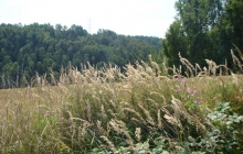 krajobrazy gminy 2007 049