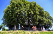 2874-Olszyny-Kosciol-IMG_2294