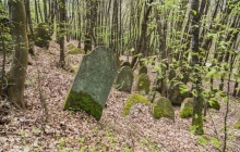 Rzepiennik-Srzyzewsk-KirkutIMG_9048