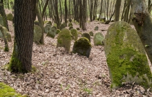 Rzepiennik-Srzyzewsk-KirkutIMG_9049