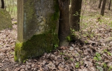 Rzepiennik-Srzyzewsk-KirkutIMG_9050