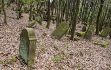 Rzepiennik-Srzyzewsk-KirkutIMG_9051