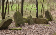 Rzepiennik-Srzyzewsk-KirkutIMG_9054