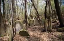 Rzepiennik-Srzyzewsk-KirkutIMG_9064