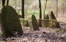 Rzepiennik-Srzyzewsk-KirkutIMG_9070