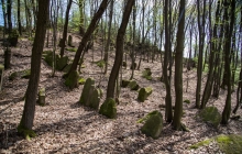 Rzepiennik-Srzyzewsk-KirkutIMG_9072
