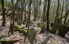 Rzepiennik-Srzyzewsk-KirkutIMG_9079