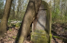 Rzepiennik-Srzyzewsk-KirkutIMG_9082